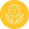 icon-ndfa-05